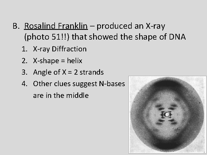 B. Rosalind Franklin – produced an X-ray (photo 51!!) that showed the shape of