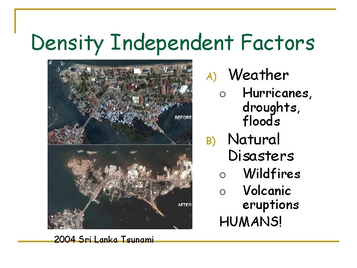 Density Independent Factors Weather A) ¡ Hurricanes, droughts, floods Natural Disasters B) Wildfires ¡