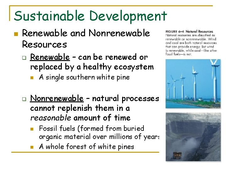 Sustainable Development n Renewable and Nonrenewable Resources q Renewable – can be renewed or