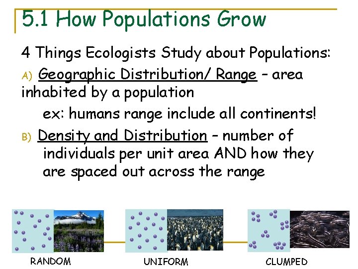 5. 1 How Populations Grow 4 Things Ecologists Study about Populations: A) Geographic Distribution/