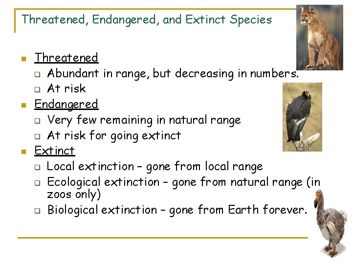 Threatened, Endangered, and Extinct Species n n n Threatened q Abundant in range, but