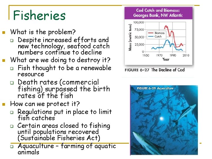 Fisheries n n What is the problem? q Despite increased efforts and new technology,