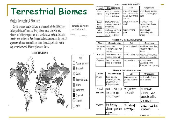 Terrestrial Biomes 