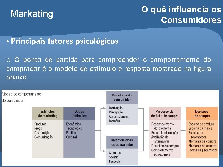 Marketing O quê influencia os Consumidores • Principais fatores psicológicos o O ponto de