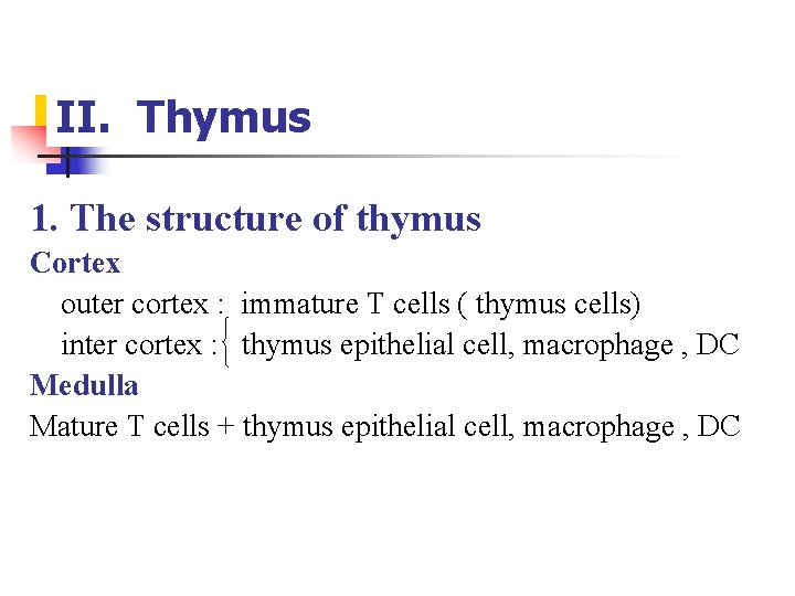II. Thymus 1. The structure of thymus Cortex outer cortex : immature T cells