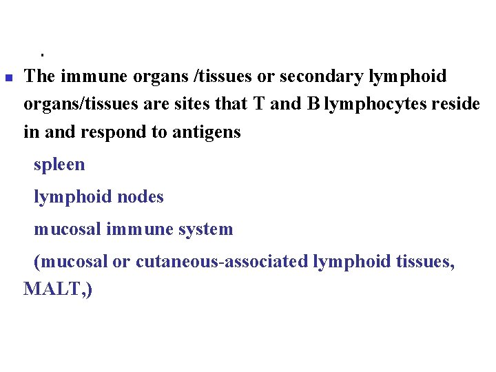 n The immune organs /tissues or secondary lymphoid organs/tissues are sites that T and