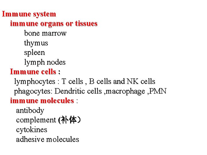 Immune system immune organs or tissues bone marrow thymus spleen lymph nodes Immune cells