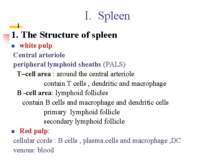 I. Spleen 1. The Structure of spleen white pulp Central arteriole peripheral lymphoid sheaths
