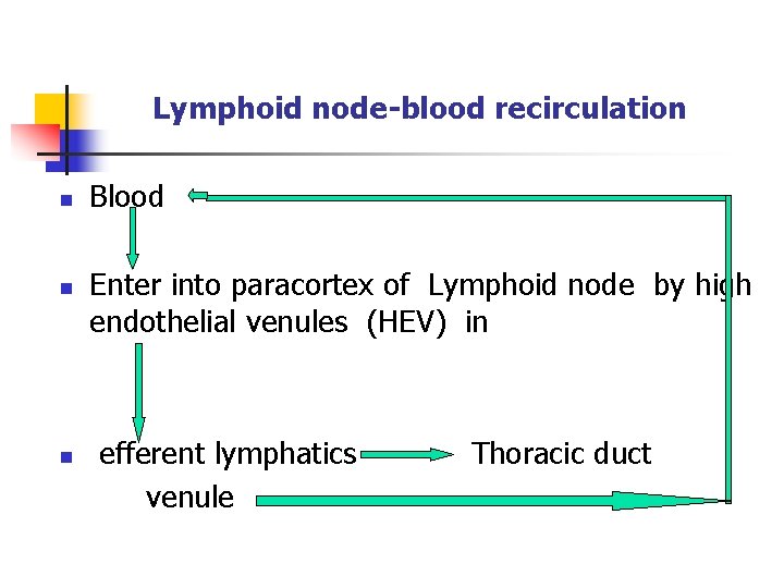 Lymphoid node-blood recirculation n Blood Enter into paracortex of Lymphoid node by high endothelial