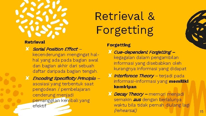 Retrieval & Forgetting Retrieval ✘ Serial Position Effect – kecenderungan mengingat halhal yang ada