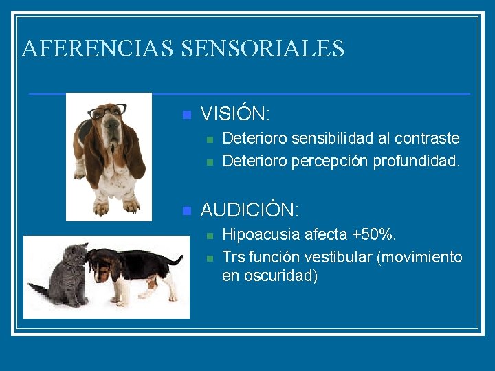 AFERENCIAS SENSORIALES n VISIÓN: n n n Deterioro sensibilidad al contraste Deterioro percepción profundidad.