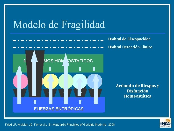 Modelo de Fragilidad Umbral de Discapacidad Umbral Detección Clínico MECANISMOS HOMEOSTÁTICOS Mecanismo de Enfermedad