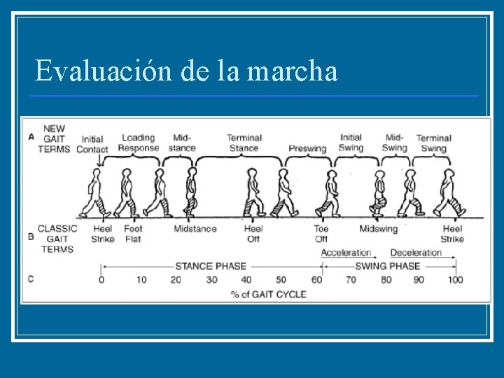 Evaluación de la marcha 