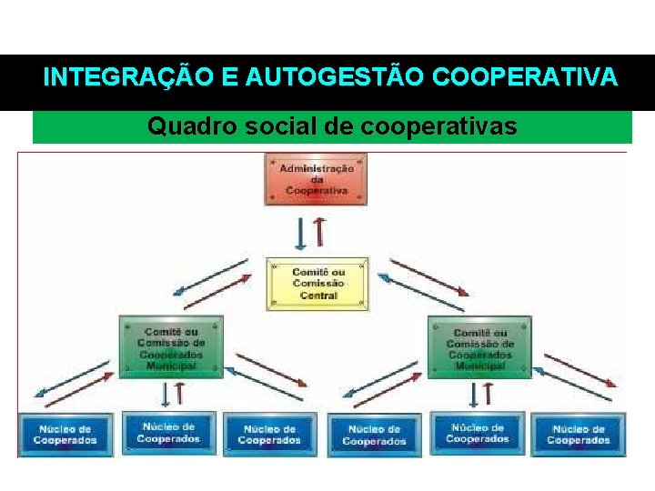  INTEGRAÇÃO E AUTOGESTÃO COOPERATIVA Quadro social de cooperativas 