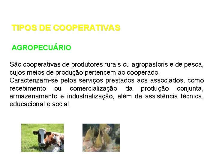 TIPOS DE COOPERATIVAS AGROPECUÁRIO São cooperativas de produtores rurais ou agropastoris e de pesca,