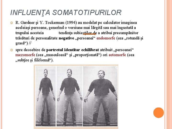 INFLUENŢA SOMATOTIPURILOR R. Gardner şi Y. Tockerman (1994) au modelat pe calculator imaginea aceleiaşi