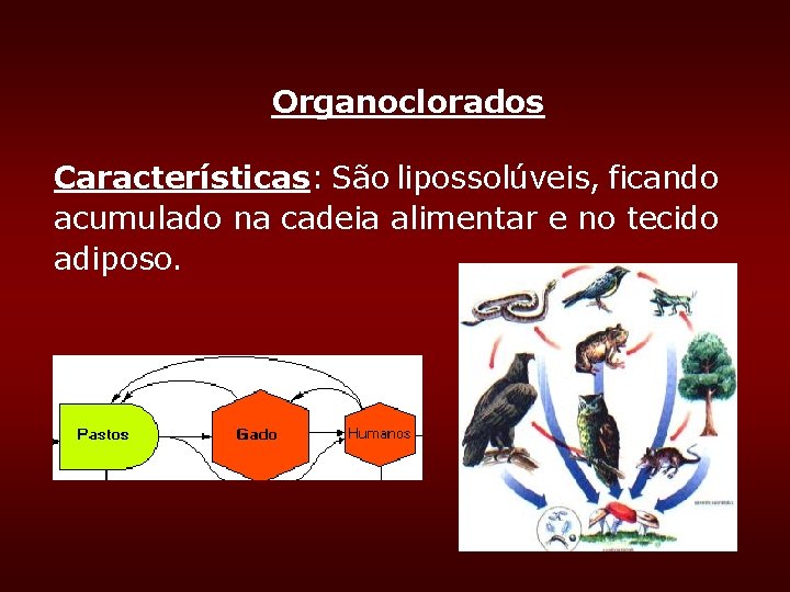 Organoclorados Características: São lipossolúveis, ficando acumulado na cadeia alimentar e no tecido adiposo. Organoclorados Características: São lipossolúveis, ficando acumulado na cadeia alimentar e no tecido adiposo.