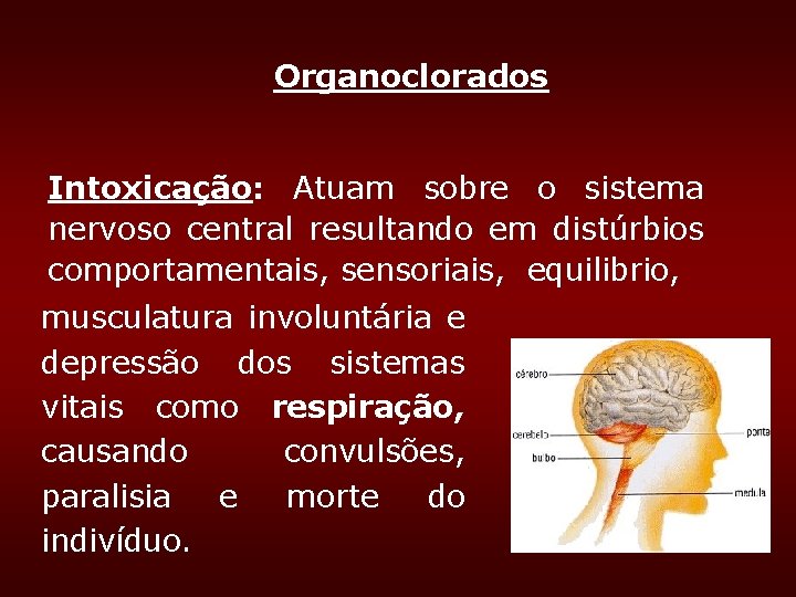 Organoclorados Intoxicação: Atuam sobre o sistema nervoso central resultando em distúrbios comportamentais, sensoriais, equilibrio, Organoclorados Intoxicação: Atuam sobre o sistema nervoso central resultando em distúrbios comportamentais, sensoriais, equilibrio,