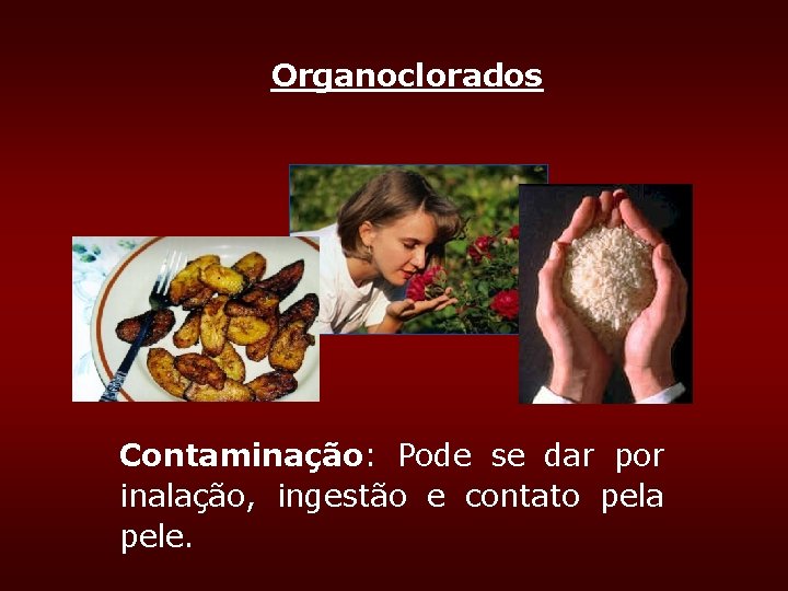 Organoclorados Contaminação: Pode se dar por inalação, ingestão e contato pela pele. Organoclorados Contaminação: Pode se dar por inalação, ingestão e contato pela pele.