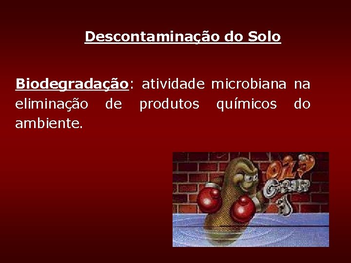 Descontaminação do Solo Biodegradação: atividade microbiana na eliminação de produtos químicos do ambiente. Descontaminação do Solo Biodegradação: atividade microbiana na eliminação de produtos químicos do ambiente.
