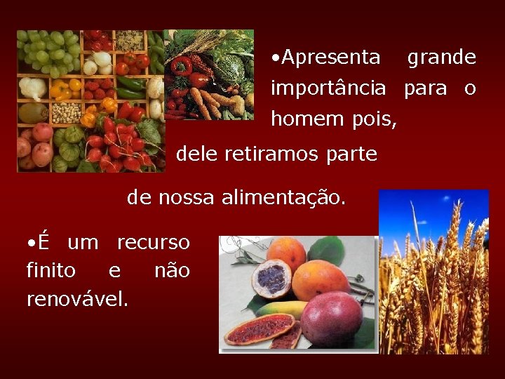 • Apresenta grande importância para o homem pois, dele retiramos parte de nossa • Apresenta grande importância para o homem pois, dele retiramos parte de nossa