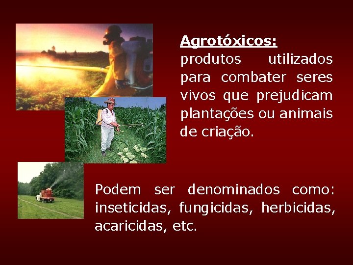 Agrotóxicos: produtos utilizados para combater seres vivos que prejudicam plantações ou animais de criação. Agrotóxicos: produtos utilizados para combater seres vivos que prejudicam plantações ou animais de criação.
