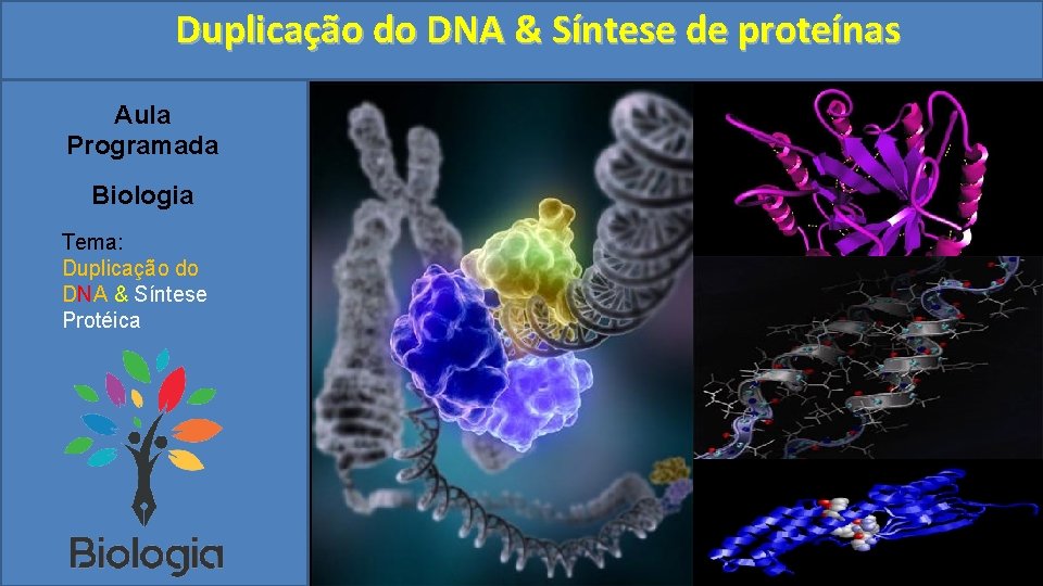 Duplicação do DNA & Síntese de proteínas Aula Programada Biologia Tema: Duplicação do DNA