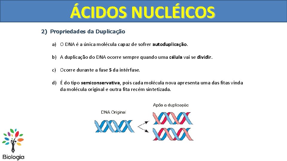 DUPLICAÇÃO ÁCIDOS NUCLÉICOS DO DNA 2) Propriedades da Duplicação a) O DNA é a