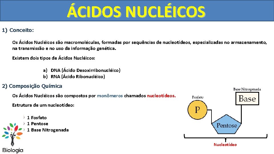 ÁCIDOS NUCLÉICOS 1) Conceito: Os Ácidos Nucléicos são macromoléculas, formadas por sequências de nucleotídeos,