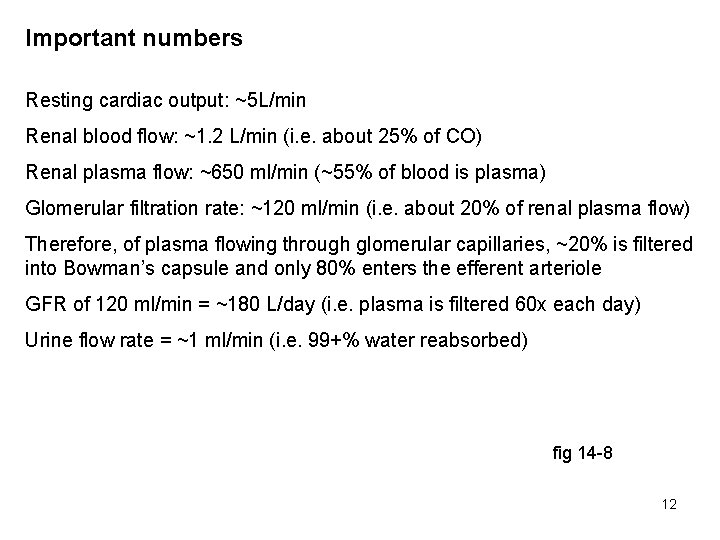 Important numbers Resting cardiac output: ~5 L/min Renal blood flow: ~1. 2 L/min (i.