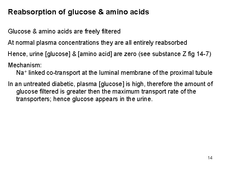 Reabsorption of glucose & amino acids Glucose & amino acids are freely filtered At