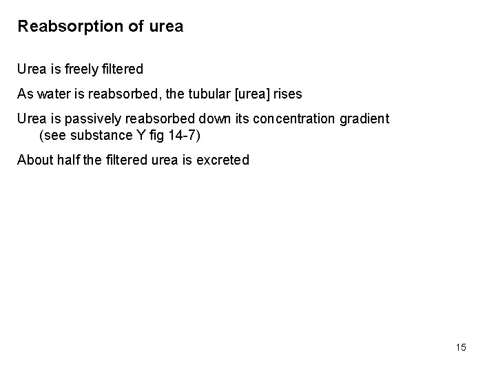 Reabsorption of urea Urea is freely filtered As water is reabsorbed, the tubular [urea]