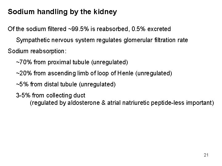 Sodium handling by the kidney Of the sodium filtered ~99. 5% is reabsorbed, 0.