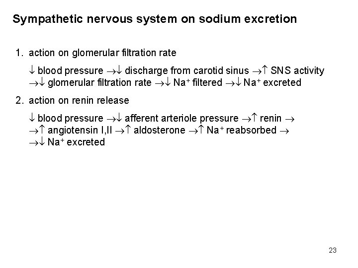 Sympathetic nervous system on sodium excretion 1. action on glomerular filtration rate blood pressure