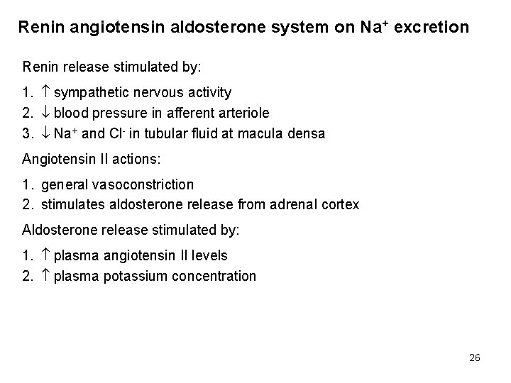 Renin angiotensin aldosterone system on Na+ excretion Renin release stimulated by: 1. sympathetic nervous