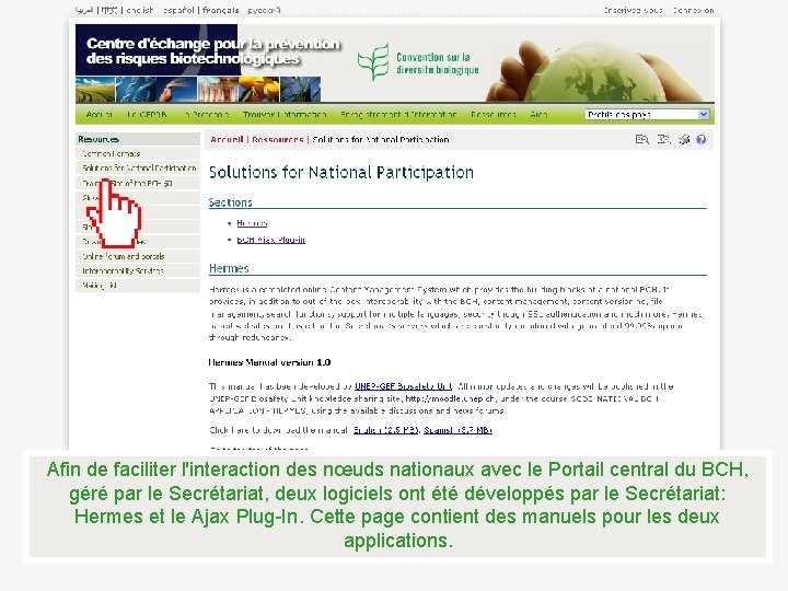 Afin de faciliter l'interaction des nœuds nationaux avec le Portail central du BCH, géré