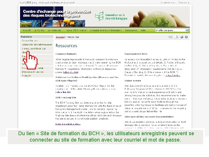  Du lien « Site de formation du BCH » , les utilisateurs enregistrés