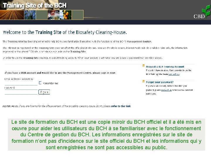 Le site de formation du BCH est une copie miroir du BCH officiel et