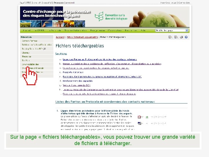 Sur la page « fichiers téléchargeables» , vous pouvez trouver une grande variété de