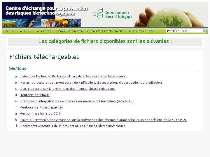 Les catégories de fichiers disponibles sont les suivantes : 