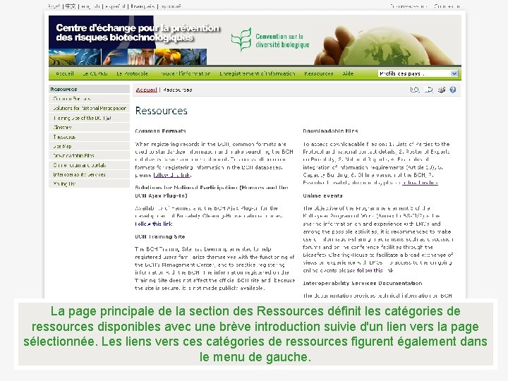 La page principale de la section des Ressources définit les catégories de ressources disponibles