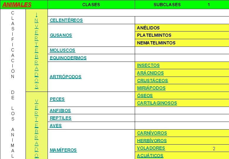 ANIMALES C L A S I F I C A C I Ó N ANIMALES C L A S I F I C A C I Ó N