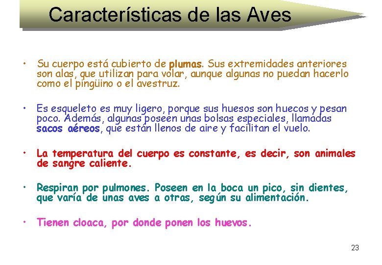 Características de las Aves • Su cuerpo está cubierto de plumas. Sus extremidades anteriores Características de las Aves • Su cuerpo está cubierto de plumas. Sus extremidades anteriores