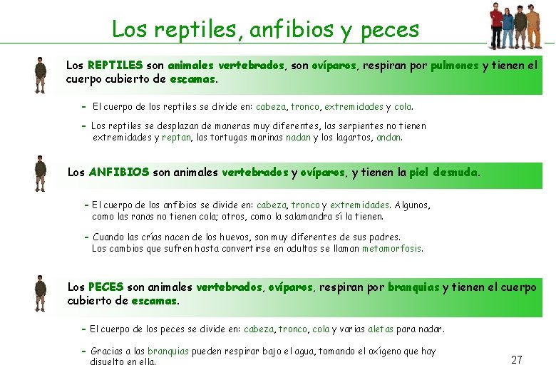 Los reptiles, anfibios y peces Los REPTILES son animales vertebrados, son ovíparos, respiran por Los reptiles, anfibios y peces Los REPTILES son animales vertebrados, son ovíparos, respiran por