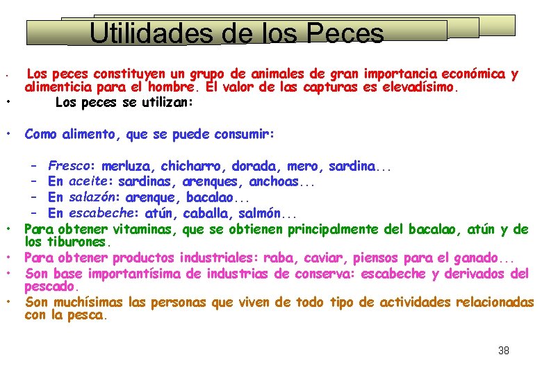 Utilidades de los Peces • Los peces constituyen un grupo de animales de gran Utilidades de los Peces • Los peces constituyen un grupo de animales de gran