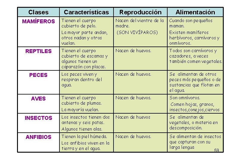 Clases Características Reproducción Alimentación MAMÍFEROS Tienen el cuerpo cubierto de pelo. La mayor parte Clases Características Reproducción Alimentación MAMÍFEROS Tienen el cuerpo cubierto de pelo. La mayor parte