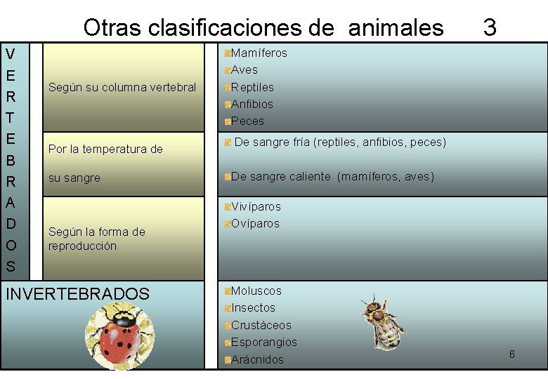Otras clasificaciones de animales 3 V E R T E B R A D Otras clasificaciones de animales 3 V E R T E B R A D