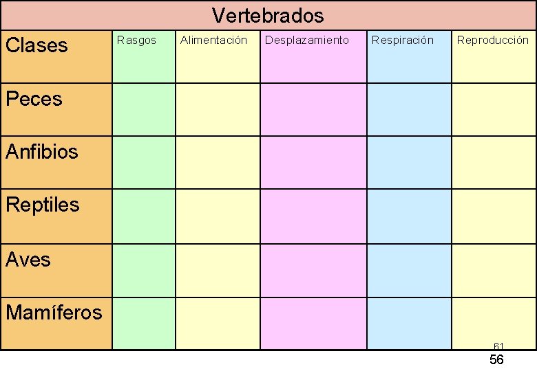 Vertebrados Clases Rasgos Alimentación Desplazamiento Respiración Reproducción Peces Anfibios Reptiles Aves Mamíferos 61 56 Vertebrados Clases Rasgos Alimentación Desplazamiento Respiración Reproducción Peces Anfibios Reptiles Aves Mamíferos 61 56