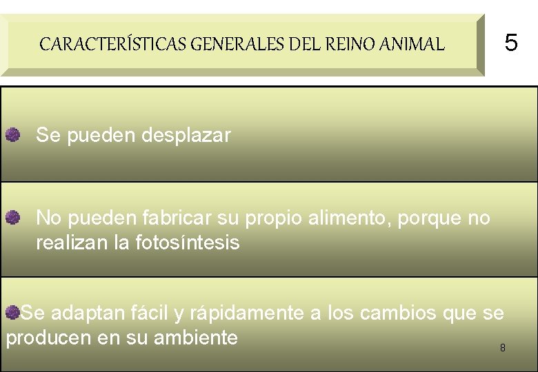 CARACTERÍSTICAS GENERALES DEL REINO ANIMAL 5 Se pueden desplazar No pueden fabricar su propio CARACTERÍSTICAS GENERALES DEL REINO ANIMAL 5 Se pueden desplazar No pueden fabricar su propio