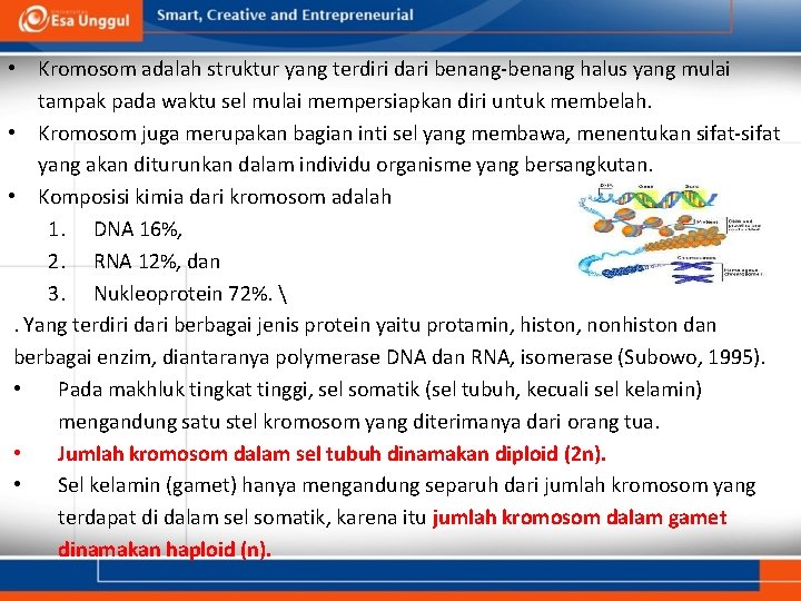  • Kromosom adalah struktur yang terdiri dari benang-benang halus yang mulai tampak pada